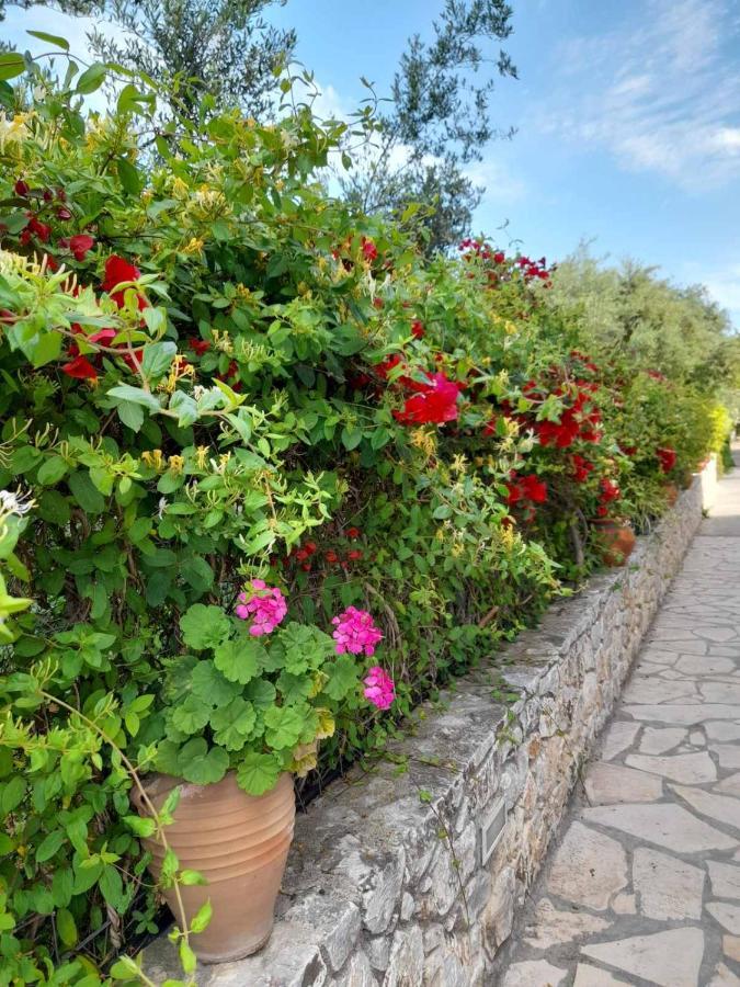 Aphrodite Apartments Kalyves Exterior foto